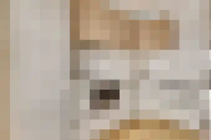 Dotterbloemkade 34 Vleuten thumbnail 13