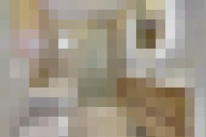 Dotterbloemkade 34 Vleuten thumbnail 23