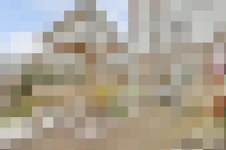 Dotterbloemkade 34 Vleuten thumbnail 40