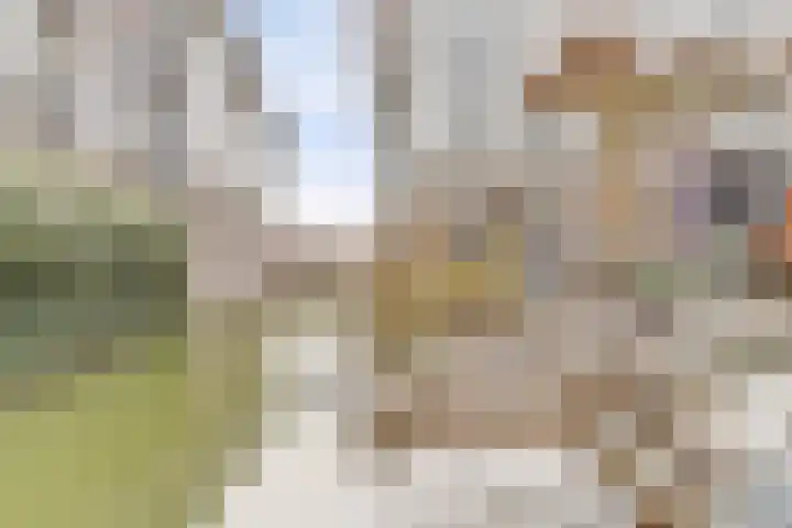 Dotterbloemkade 34 Vleuten thumbnail 42