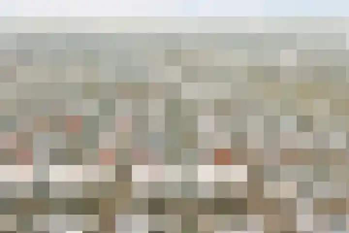 Dotterbloemkade 34 Vleuten thumbnail 53