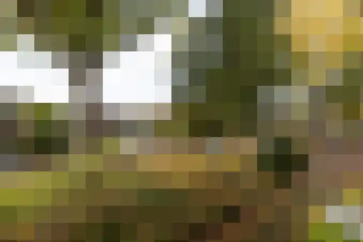 Dotterbloemlaan 35 Baarn thumbnail 14