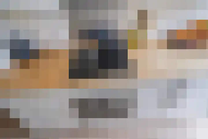 Dotterbloemlaan 80 Den Haag thumbnail 10