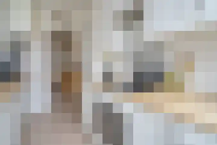 Dotterbloemlaan 80 Den Haag thumbnail 12