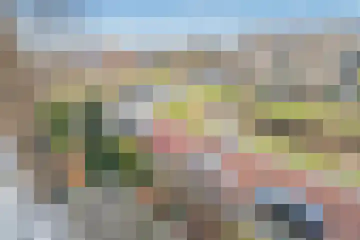 Dotterbloemlaan 80 Den Haag thumbnail 17