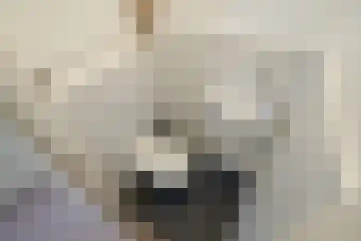 Dotterbloemlaan 80 Den Haag thumbnail 32
