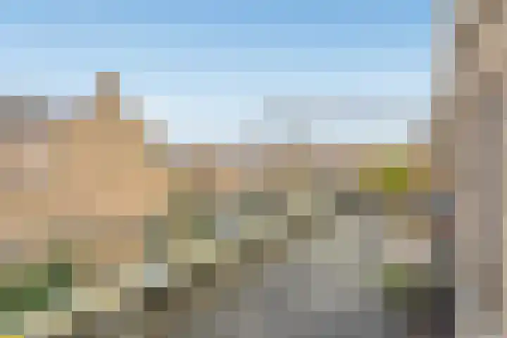 Dotterbloemlaan 80 Den Haag thumbnail 4