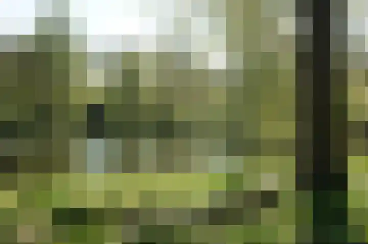 Dotterbloemlaan 80 Den Haag thumbnail 46