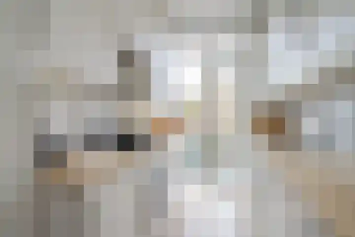 Dotterbloemlaan 80 Den Haag thumbnail 9