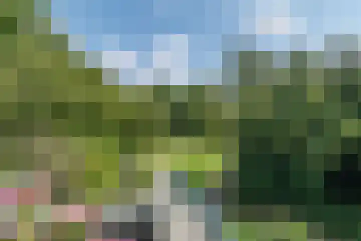 Douzapad 34 Zoetermeer thumbnail 10