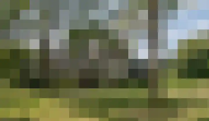 Douzapad 34 Zoetermeer thumbnail 26