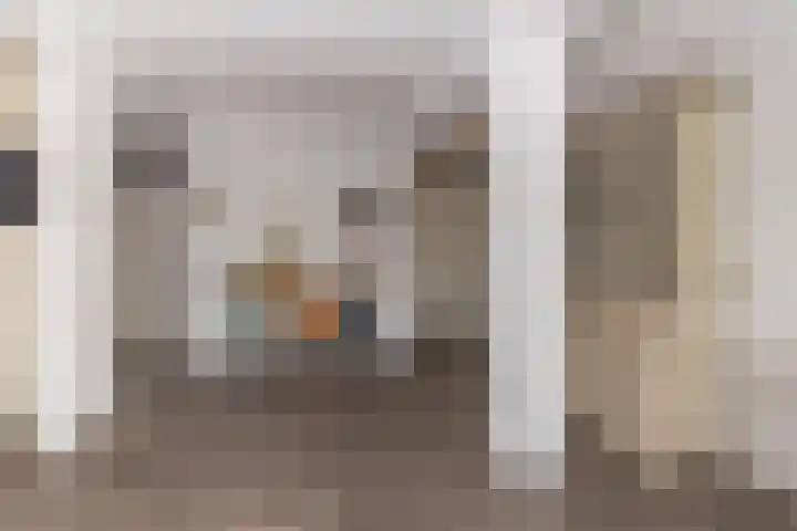 Douzapad 34 Zoetermeer thumbnail 5
