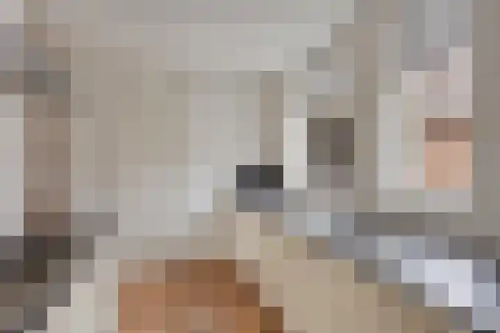 Dovenetel 2 Zwaag thumbnail 15