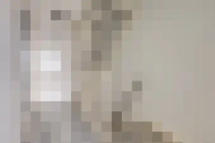 Dovenetel 2 Zwaag thumbnail 18