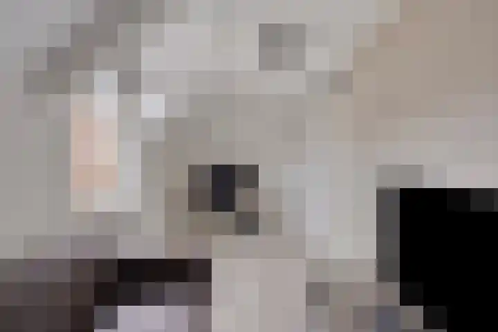Dovenetel 2 Zwaag thumbnail 24