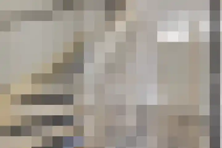 Dovenetel 2 Zwaag thumbnail 27