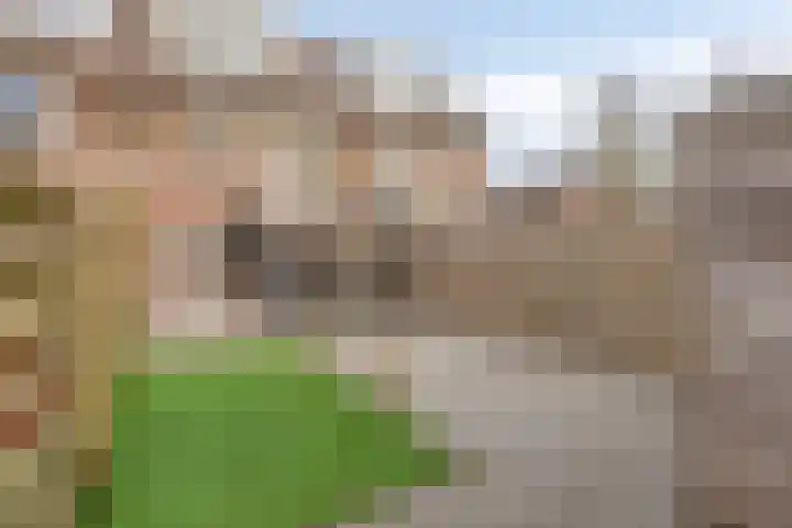 Dovenetel 2 Zwaag thumbnail 34