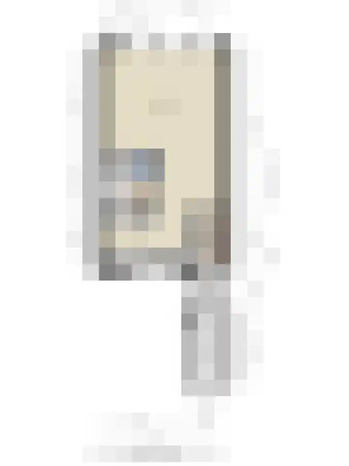 Dovenetel 2 Zwaag thumbnail 38