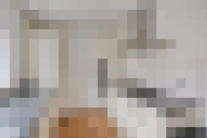 Dovenetel 2 Zwaag thumbnail 4