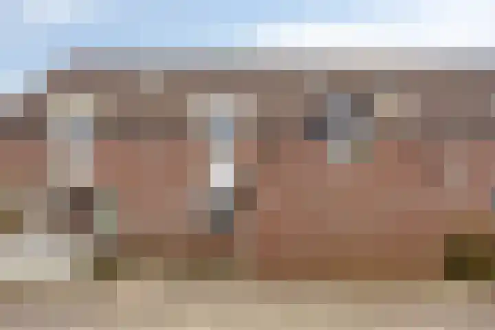 Dovenetel 2 Zwaag thumbnail 6