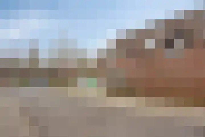 Dovenetel 2 Zwaag thumbnail 7