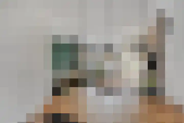 Dovenetel 2 Zwaag thumbnail 9