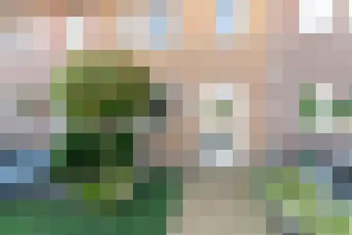 Dovenetel 6 Rijssen foto 2