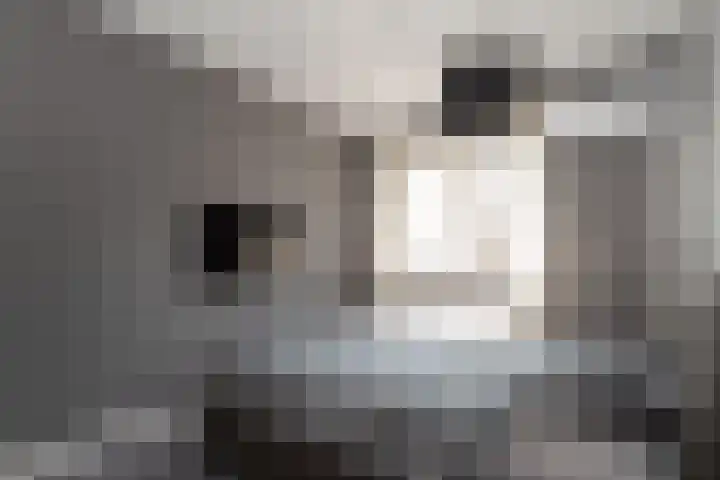 Dovenetel 6 Rijssen thumbnail 22