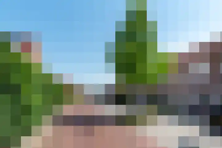 Dovenetel 6 Rijssen foto 3