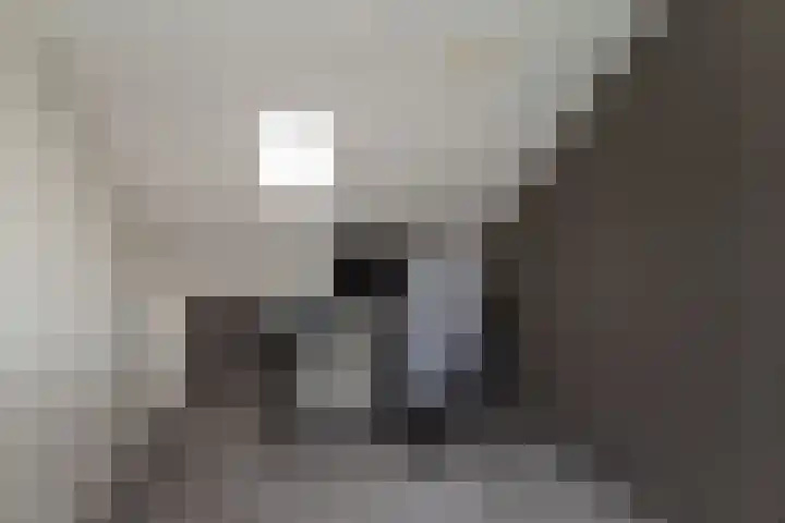 Dovenetel 6 Rijssen thumbnail 34