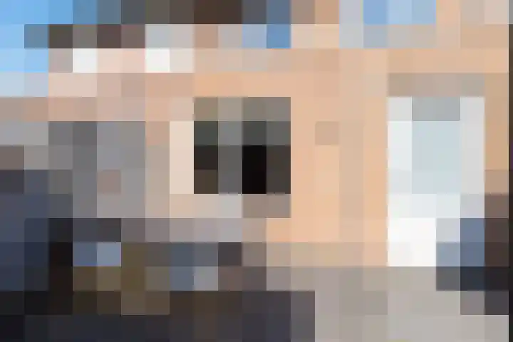 Dovenetel 6 Rijssen thumbnail 37