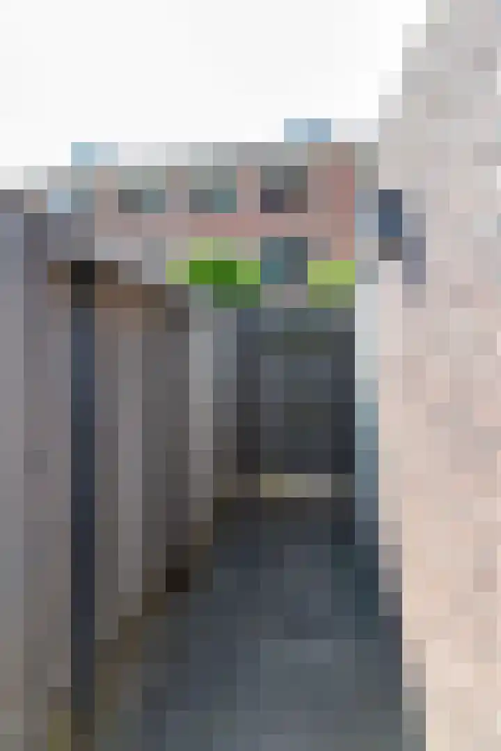 Dovenetel 6 Rijssen thumbnail 40