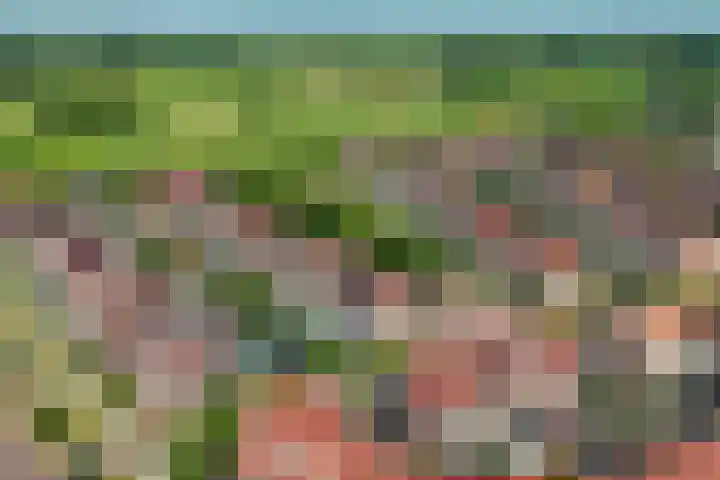 Dovenetel 6 Rijssen thumbnail 41