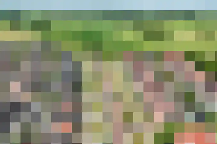 Dovenetel 6 Rijssen thumbnail 42