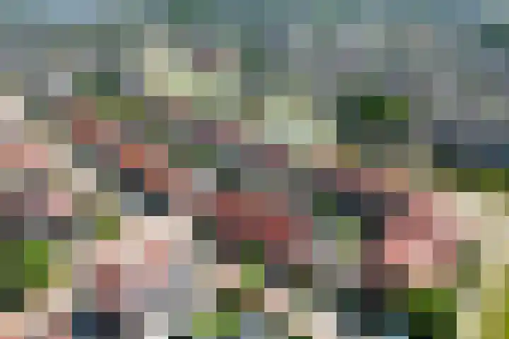 Dovenetel 6 Rijssen thumbnail 43