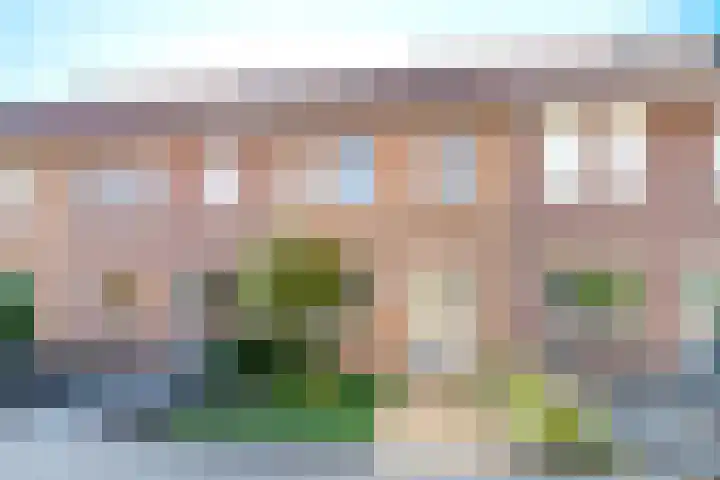 Dovenetel 6 Rijssen thumbnail 44
