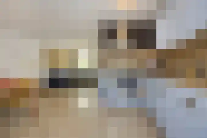Dovenetelstraat 36 Vught thumbnail 12