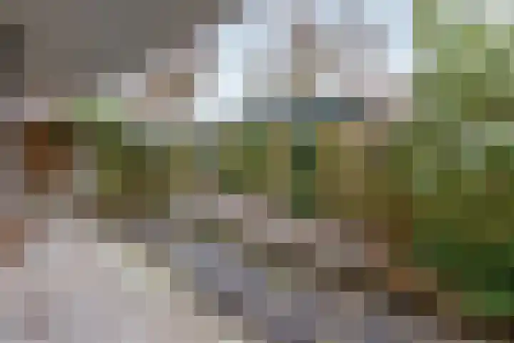 Dr.A.Kuyperlaan 35 Weesp thumbnail 26