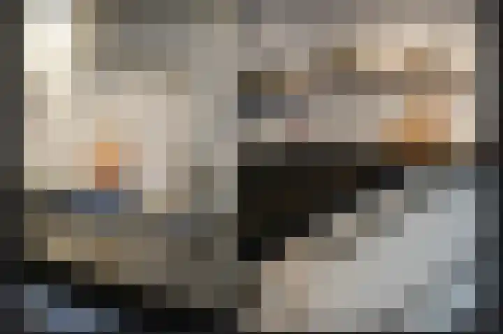Dr. A. Kuyperweg 26 Beesd thumbnail 15