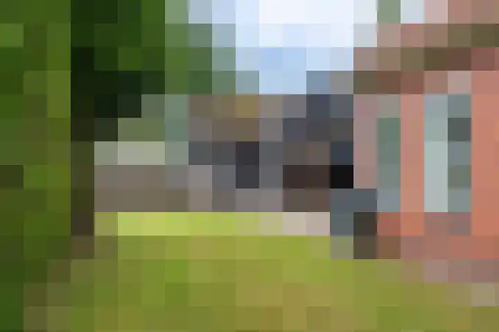 Dr. Aletta Jacobsstraat 29 Sappemeer thumbnail 34