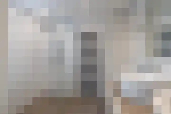 Dr. Aletta Jacobsstraat 29 Sappemeer thumbnail 4