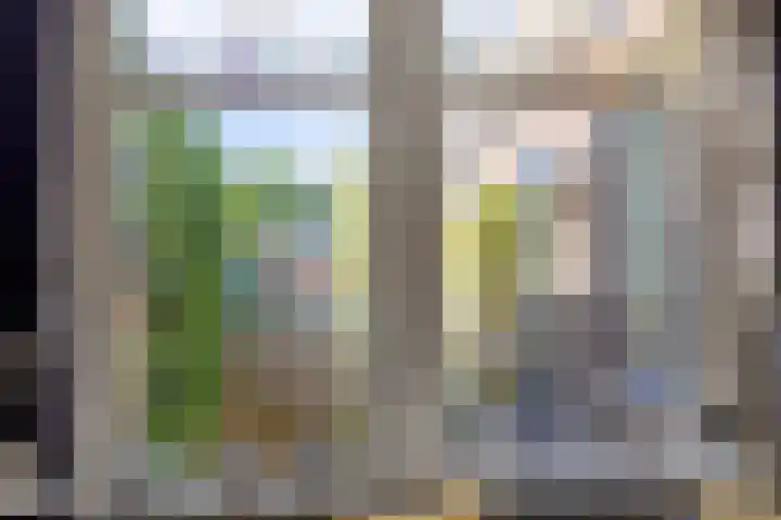 Dr. Ammanstraat 8 Warmond thumbnail 17