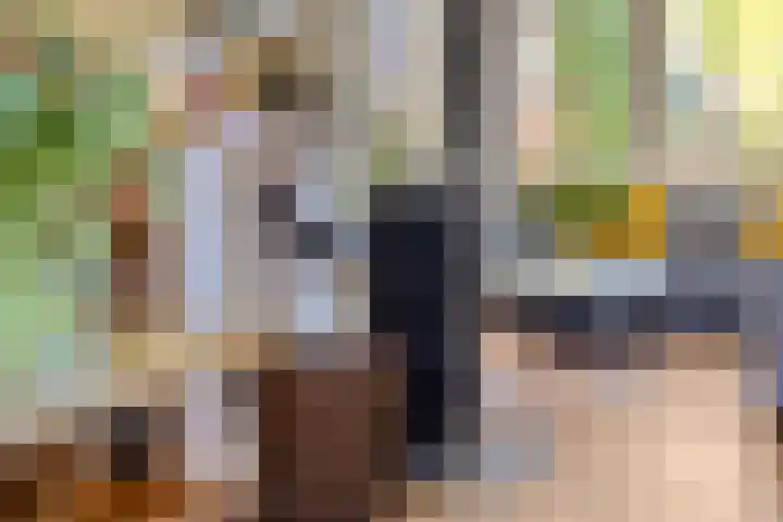 Dr. Ammanstraat 8 Warmond thumbnail 18