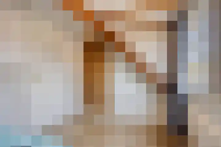 Dr. Ammanstraat 8 Warmond thumbnail 26