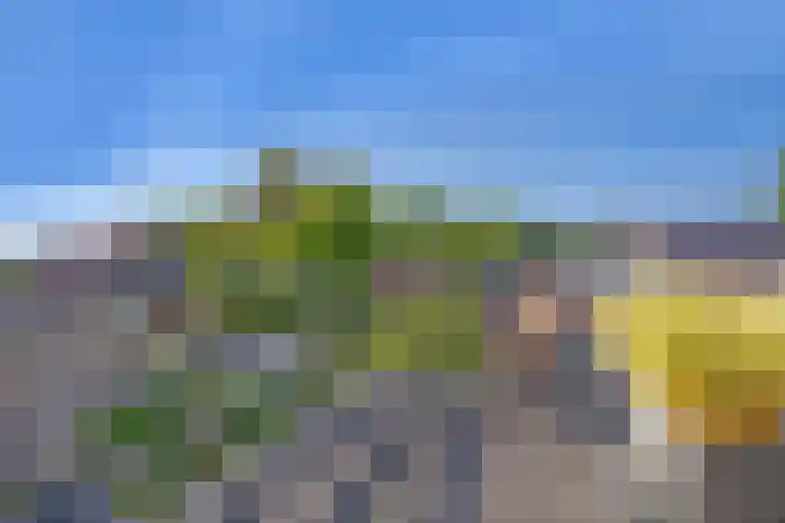 Dr. Ammanstraat 8 Warmond thumbnail 31