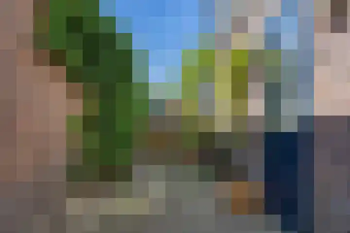Dr. Ammanstraat 8 Warmond thumbnail 35