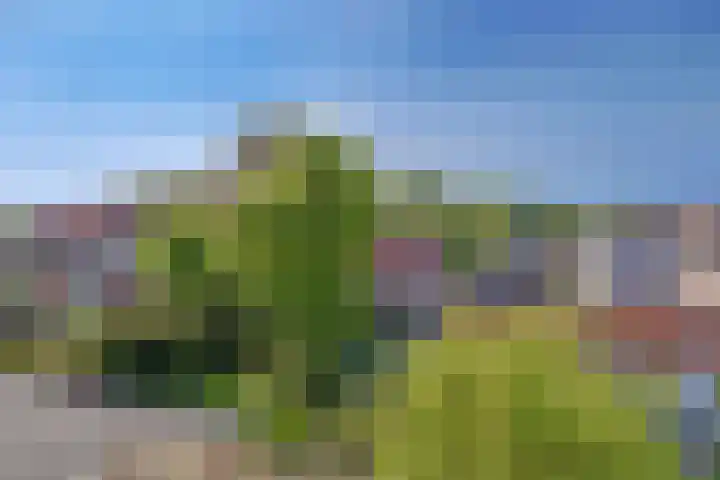 Dr. Ammanstraat 8 Warmond thumbnail 38