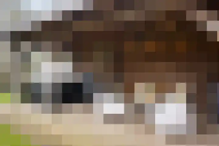 Dr. Benthemstraat 69 Enschede thumbnail 37