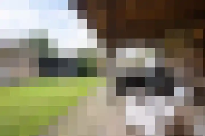 Dr. Benthemstraat 69 Enschede thumbnail 4