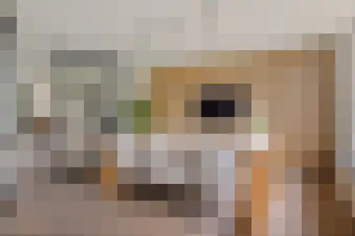 Dr. Benthemstraat 69 Enschede thumbnail 8